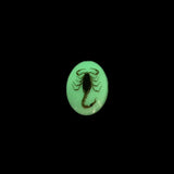 Scorpion Bolo Tie Glows in the Night